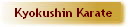 Kyokushin Karate